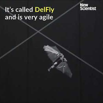 Watch this robotic fruit fly swoop, dive and perform impressive flips