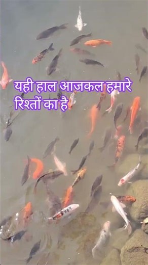 The water which is very clean 💯👌#motivational#suvichar#kitchenqueenaradhana #youtube #shortvideos