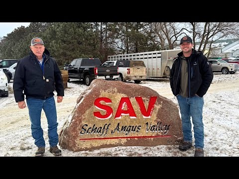 Come with us to the 123rd Schaff Angus Valley Sale!