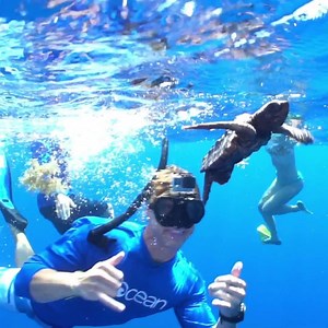 2.5M views · 191 reactions | We want to make a difference for sea turtles. Help us in our battle so that future generations can enjoy these amazing creatures. Purchase your Limited Edition Sea Turtle Bracelet today, and help us fight for sea turtles while pulling a pound of trash from the ocean and coastlines. ❤ | 4ocean | Facebook