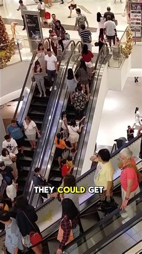 Why escalators have brushes on the sides?