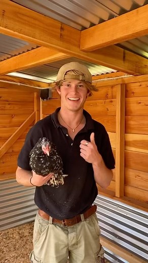 The Hen House is now open! Pop by, speak to one of our experts and pick and purchase your very own chickens to take home… along with all the gear you need to keep your Hen House happy! We have been working with our friends at Taylor Made Poultry to bring a unique selection of rare and heritage breed chickens, ducks and quails to Darts Farm... You really can't beat freshly laid eggs each morning. - - - #dartsfarm #farmshop #artisan #local #foodies #growingthepassion #devon #exeter #topsham #thehe