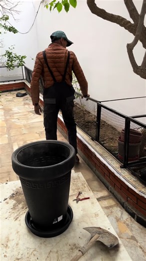 Seedsman وفريقه يضعون خبرتهم بين أيديكم 🌿🤝 نرافقكم في كل خطوة لجعل مساحاتكم خضراء ومفعمة بالحياة ✨💚 للاستفادة من خدماتنا والتواصل معنا، راسلونا عبر الصفحة 📩 أو عبر رقم الهاتف: 0698698900 ☎️ مع Seedsman… الجمال يبدأ من مساحتك! 🌱🏡 #متابعين #fypシviral #toutlemonde #بسكرة_وادسوف_ورقلة_تقرت #fypシ❤️💞❤️