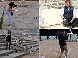 Beware of the seagulls! Resorts hit by 'epidemic' of attacking birds