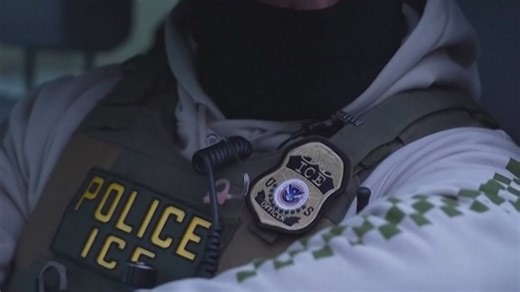Proposed bill aims to curb excessive force by ICE agents