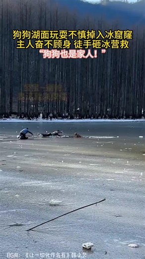 🇨🇳 狗狗湖面玩耍不慎掉入冰窟窿 🇬🇧 Dog Playing on Frozen Lake Accidently Falls Into Ice Hole