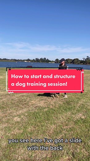 How you start and structure your dogs training sessions is super important! Practise getting your dog to opt in to the training session rather than drilling them to work right away! You also want to very strategically place the more “boring af” exercises within the session to keep your dog enjoying every session! #dogtraining #dogtrainingtips #dogtrainingadvice #positivereinforcementdogtraining #puppytrainingtips
