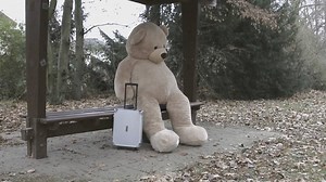 On December 16, myAirCargo welcomes a special visitor to Frankfurt Airport. And the best part: with a little luck you can win the bear and have it shipped to your house! Save the date and follow the journey of our myAirCargo teddy bear to find out more... | Lufthansa Cargo