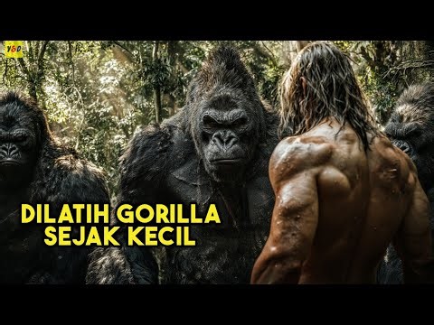 Pria Ini Dibesarkan Oleh Gorilla Sejak Kecil Hingga Jadi Raja Hutan ! ALUR CERITA FILM