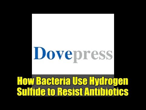 How Bacteria Use Hydrogen Sulfide to Resist Antibiotics