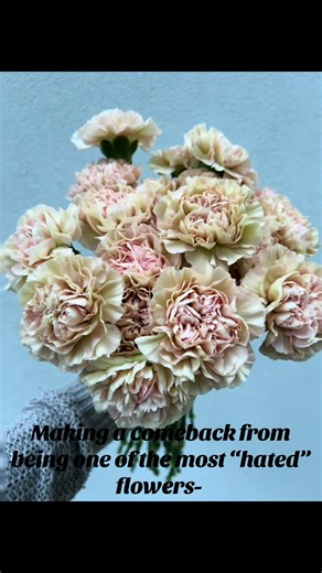 Carnations are making a huge comeback and are now in the cool club! 😎 So many colors and variations available with the bonus of being one of the more cost effective options. Love them, hate them? #carnations #bloomsforrooms #weddingflorist #florist #upstatenyweddingflorist