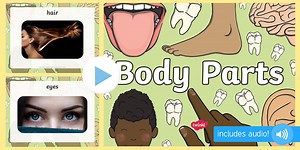 Parts of the Body Audio Flashcards