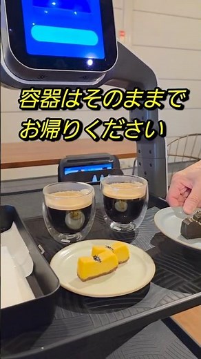 Yoko-chan is having a fun conversation with a robot from Pono Cafe. Ijuincho, Hioki City, Kagoshi...