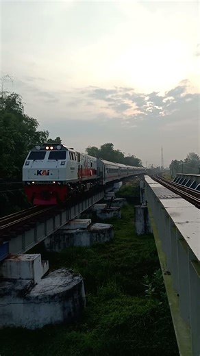 lokomotif sprinter cc 2030204 depo induk MN memimpin perjalanan #ka commuterline Dhoho #shorts #reel