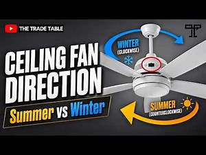 Ceiling Fan Direction Explained | Summer vs. Winter Settings