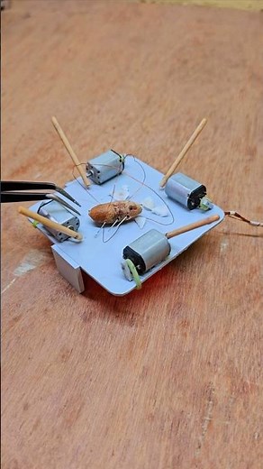 #satisfying #cockroach #catch #machine #robotics #engineering