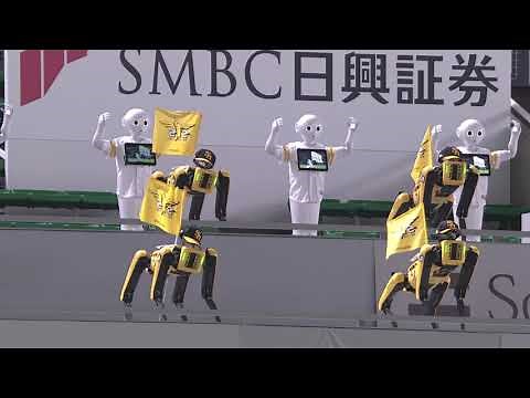 【Pepper (ペッパーくん) × Spot】福岡ソフトバンクホークス ロボット応援団
