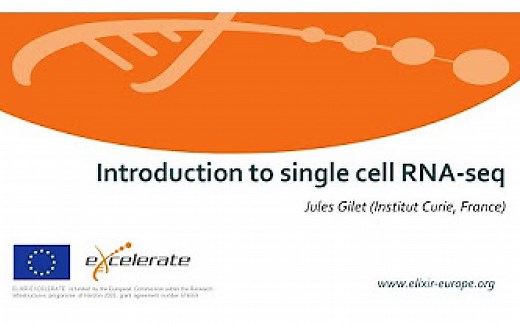 生肉｜Single cell RNA-seq data analysis with R (2019) 单细胞RNA测序数据分析教程