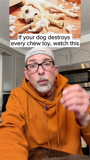 Does your dog destroy every chew toy? Check this out? ##dogsoftiktok##dogdad##petparents##chewtoy##puppylove
