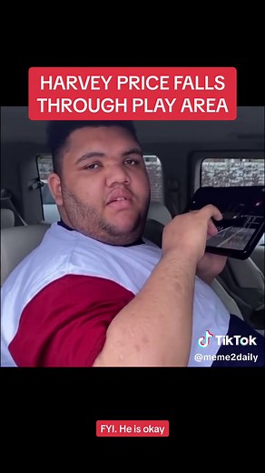 Harvey Price Falls Through Play Area