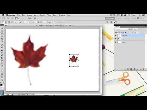 Getting Started with Smart Objects: What is a Photoshop Smart Object?