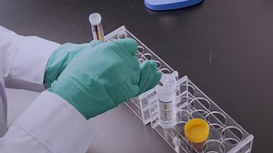 A Protocol for Constructing a Rat Wound Model of Type 1 Diabetes