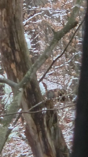 I couldn't make this s*** up if I tried. Here I sit ready to hunt still in the truck CuzThe deer are too close | Ben Paddock