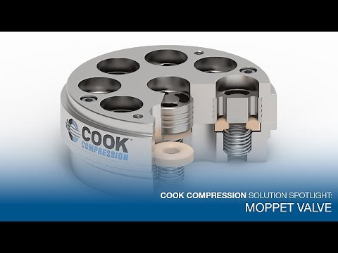 Solution Spotlight: Moppet® Compressor Valves