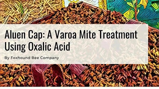 Aluen Cap: A Varroa Mite Treatment Using Oxalic Acid - Foxhound Bee Company