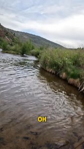 110 reactions · 7 comments | Versatility is the foundation of a good...