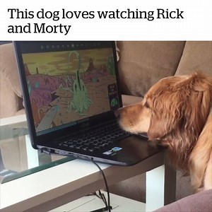 Rick and Morty & chill | VT