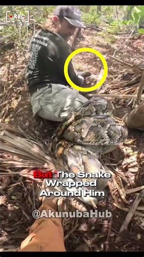 He Tried to Lift a Python… Big Mistake