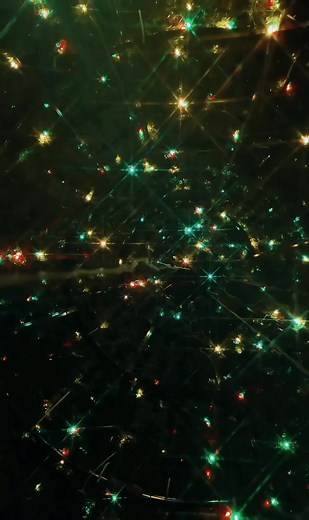 Inside our 38’ Christmas tree!!! | Downtown Lawrenceburg, TN