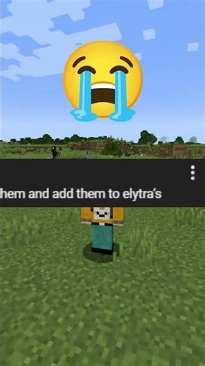 Minecraft Players Fixed the Bat