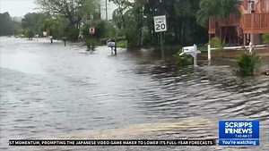 Florida's Unemployment Crisis: Delays in Benefits Irc Citizens