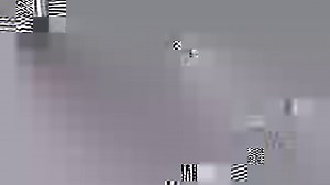 Visit a PetSmart Charities Cat Adoption Center and adopt love. | PetSmart Charities