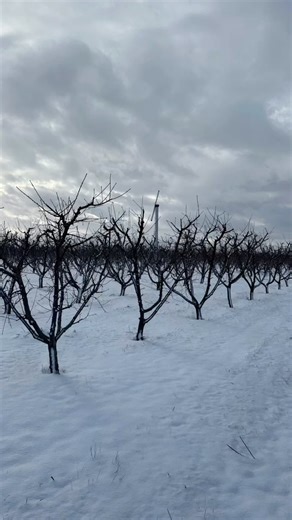 2023 brought many challenges to our farm but we overcame and made the best! We look forward to the 2024 season! | Apple Annie's Orchard