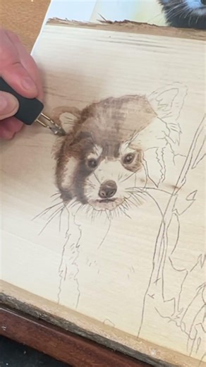 Rosie the Red Panda progress. Eyes first, then the fur layers begin. Would you start here too?