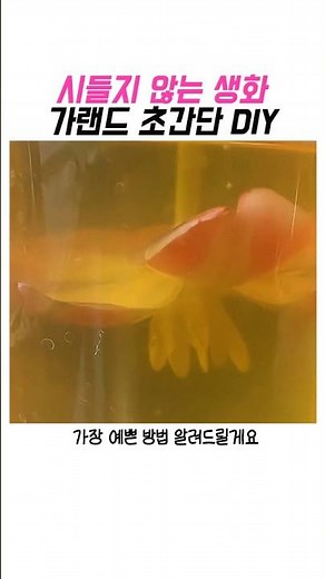 시들지 않는 생화 가랜드 초간단 DIY