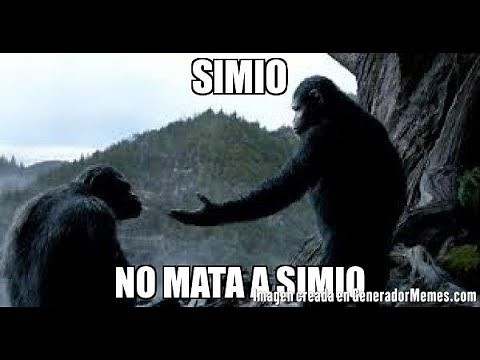 Simio no mata simio El planeta de los simios - meme momo