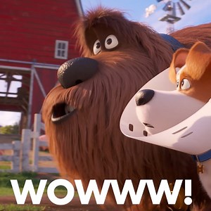 Eric Stonestreet on what excites Duke. Own #TheSecretLifeOfPets2 with two all-new Mini Movies. Now available on Digital, Blu-ray, & DVD. http://uni.pictures/Pets2 | The Secret Life Of Pets