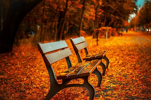 IELTS Speaking Part 1 Public Gardens And Parks
