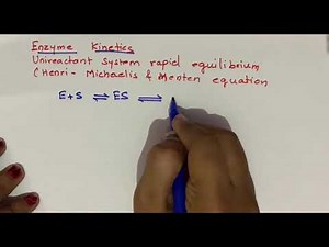 enzyme kinetics, MICHAELIS MENTEN EQUATION