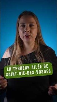 The Vosges Minôte #25 - The Terror of Saint-Dié-des-Vosges