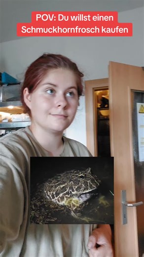 Meet Amanda, the Schmuckhornfrog: A Fascinating Exotic Pet