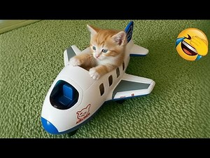 Guaranteed Laughter 🤣 Very Funny Dogs and Cats 😹🐶 Part 4