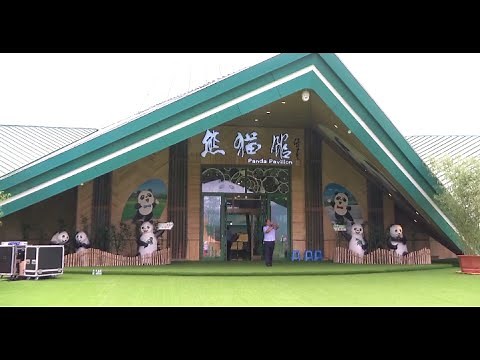China's Northernmost Panda House Opens in Heilongjiang