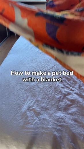 Make an easy bed for your pet with only a blanket!🎃 #cats #cat #catsdaily #catlife #pettips #cathacks #cats_of_instagram #catsofinstagram #tabbycat #catlover #catmom #reelsexplore | Flynn.cat.