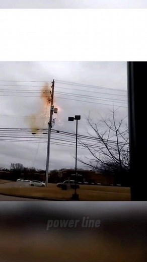 6.1K views · 56 reactions | When a high-voltage line falls, the...