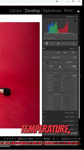 Mastering White Balance in Lightroom #shorts